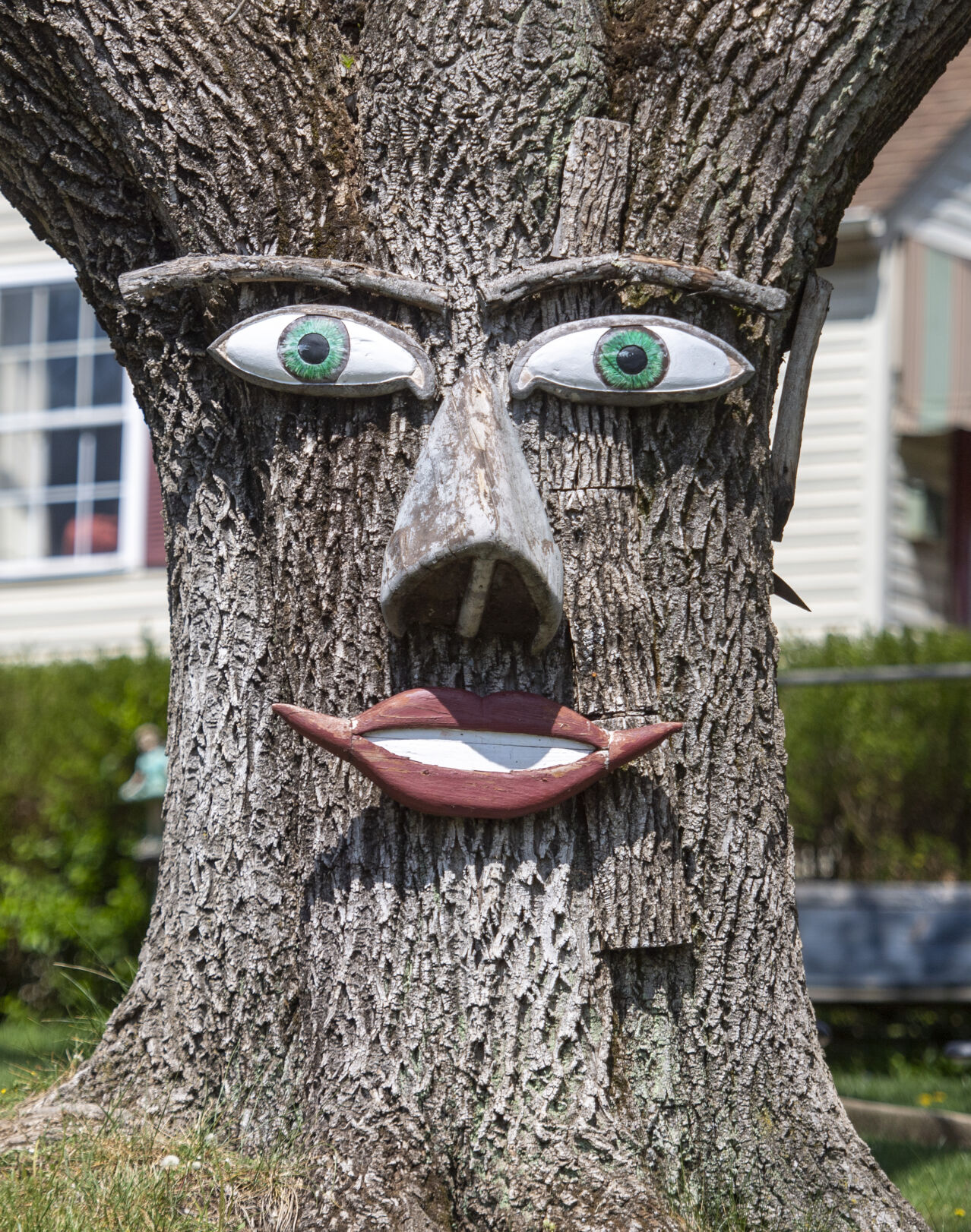 Tree Face-01